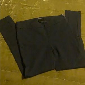 Ann Taylor leggings